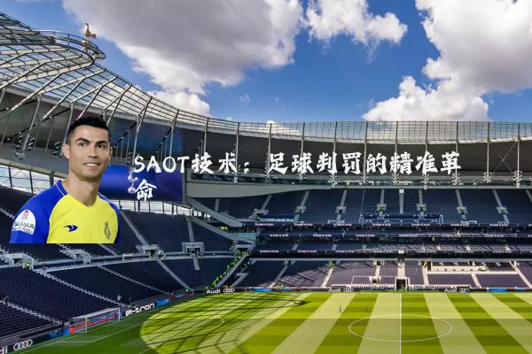 SAOT技术:足球判罚的精准革命